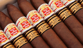 Hoyo de Monterrey – Short Hoyo Pirámides. Edicion Limitada 2011