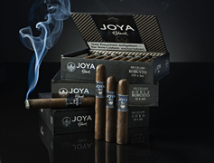 Joya Black – das neue Schwarz