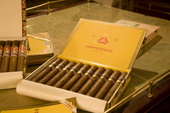 Oder für diese: Montecristo 520 (Foto. Sigrun Misselhorn)