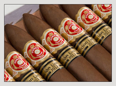 Punch Serie D’Oro No. 2