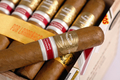 Por Larrañaga Robusto • Edición Regional 2010 Alemania