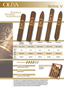 Oliva V