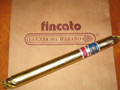 Punch Diadema • Edición Regional Italien 2009